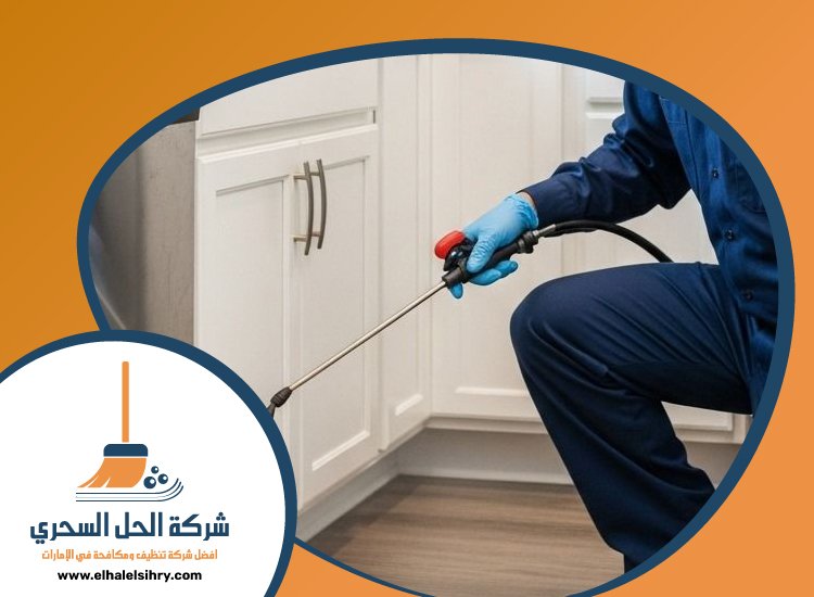 شركة مكافحة حشرات في دبي 4 شركة مكافحة حشرات في دبي