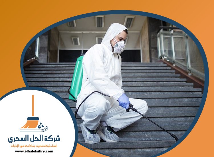 شركة مكافحة حشرات في البحيرات 5 شركة مكافحة حشرات في البحيرات
