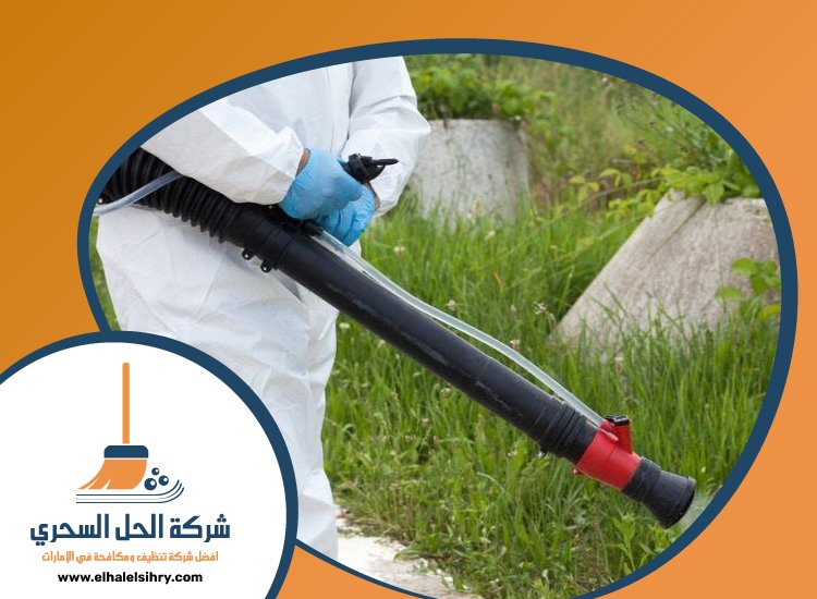 شركة مكافحة الصراصير في الشارقة 4 شركة مكافحة الصراصير في الشارقة