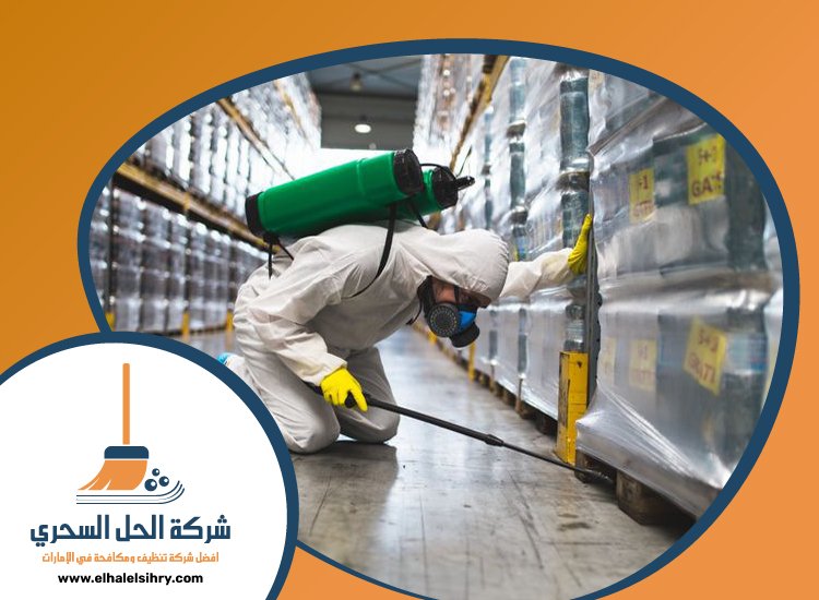 شركة مكافحة الصراصير في الشارقة 3 شركة مكافحة الصراصير في الشارقة