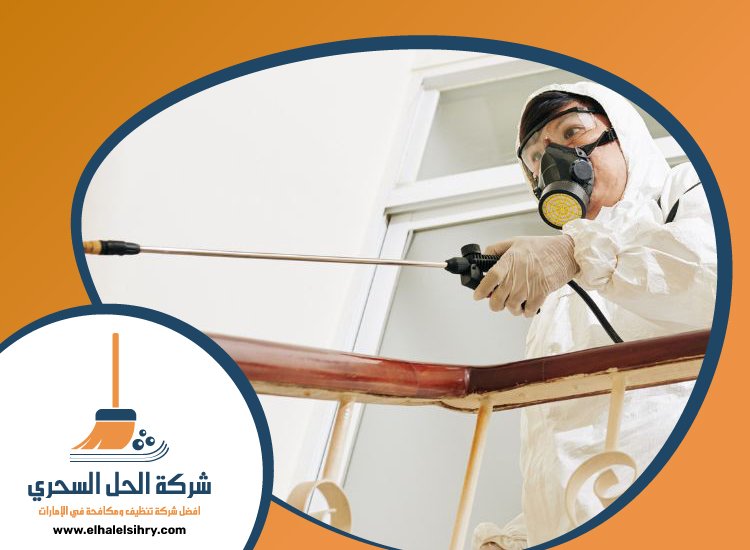 شركة مكافحة الرمة في القوز 4 شركة مكافحة الرمة في القوز