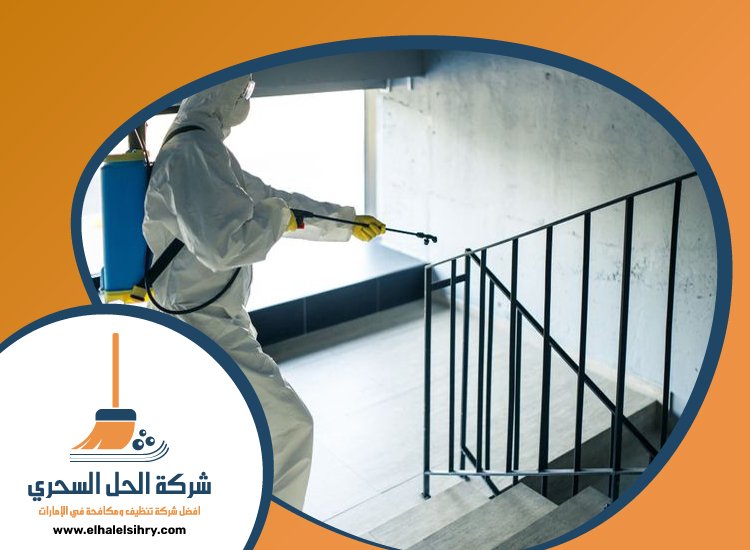 شركة مكافحة حشرات في خورفكان 5 شركة مكافحة حشرات في خورفكان