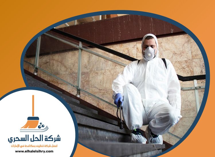 شركة مكافحة حشرات في خورفكان 4 شركة مكافحة حشرات في خورفكان