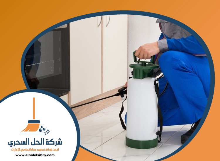شركة مكافحة حشرات في المدام 4 شركة مكافحة حشرات في المدام