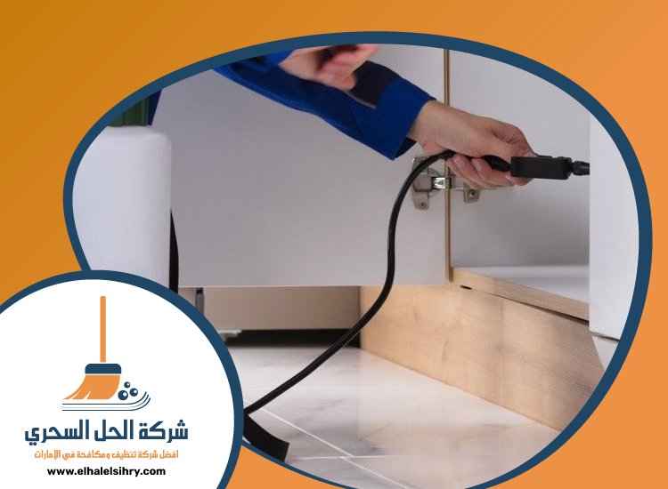 شركة مكافحة حشرات في المدام 3 شركة مكافحة حشرات في المدام