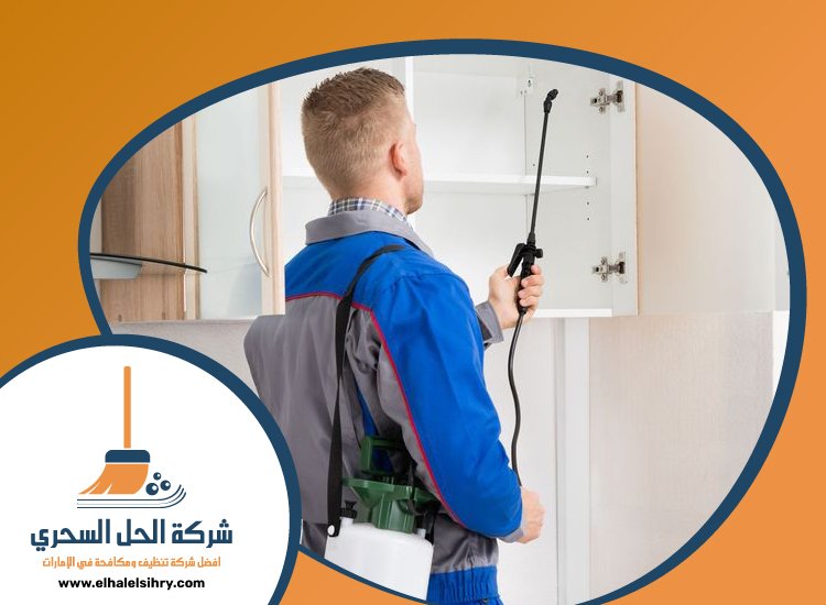 شركة مكافحة حشرات في المنخول 4 شركة مكافحة حشرات في المنخول