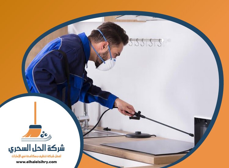 شركة مكافحة حشرات في المنخول 3 شركة مكافحة حشرات في المنخول