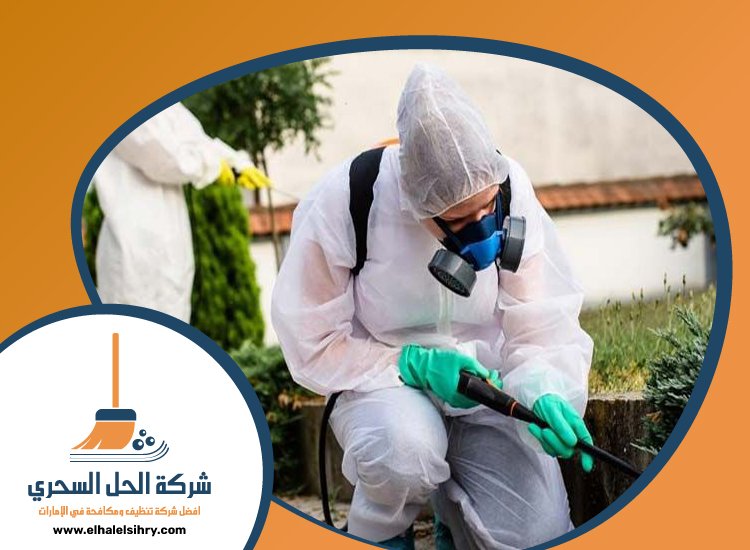 شركة مكافحة حشرات في أم هرير 4 شركة مكافحة حشرات في أم هرير