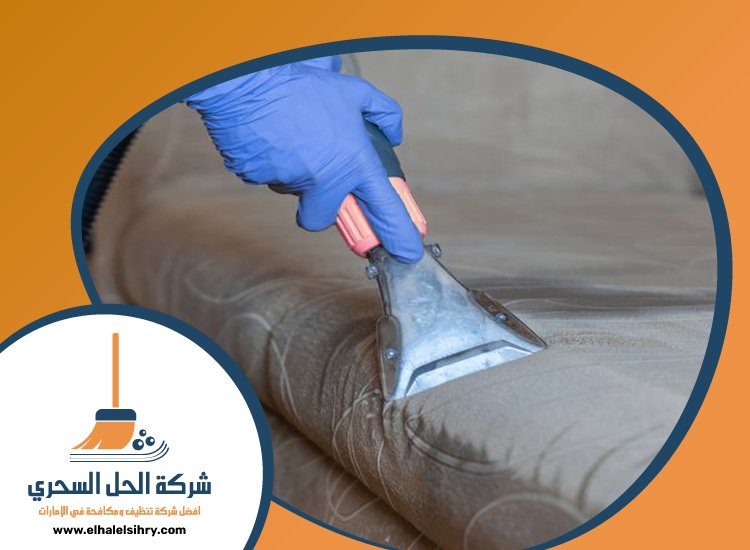 شركة تنظيف مجالس في دبي 3 شركة تنظيف مجالس في دبي