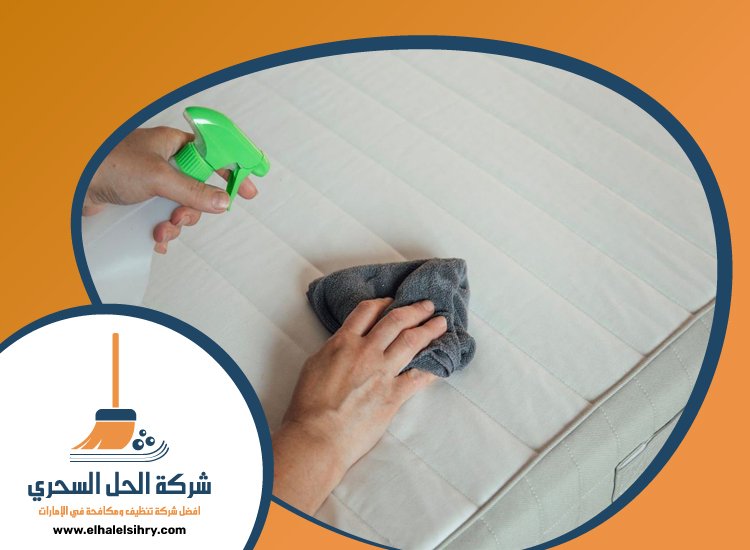 شركة تنظيف مراتب في عجمان 5 شركة تنظيف مراتب في عجمان