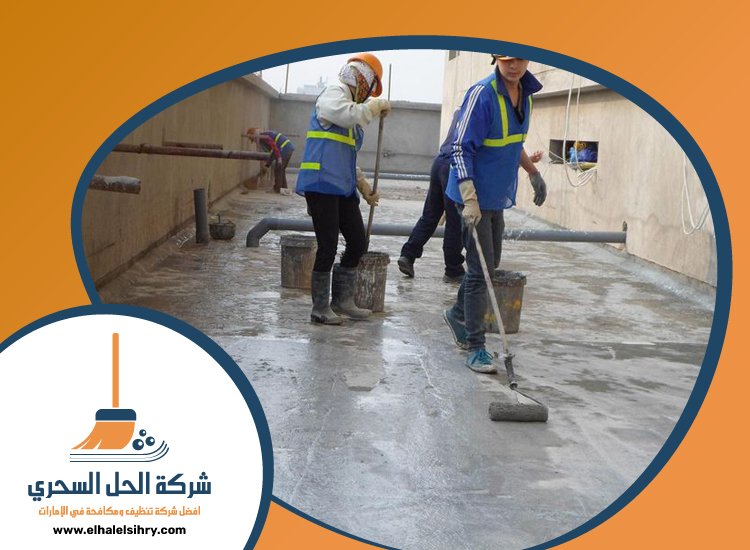 شركة تنظيف احواش