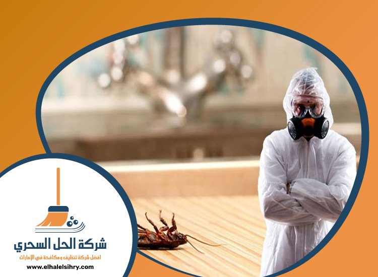 شركة مكافحة حشرات في الكرامة 4 شركة مكافحة حشرات في الكرامة
