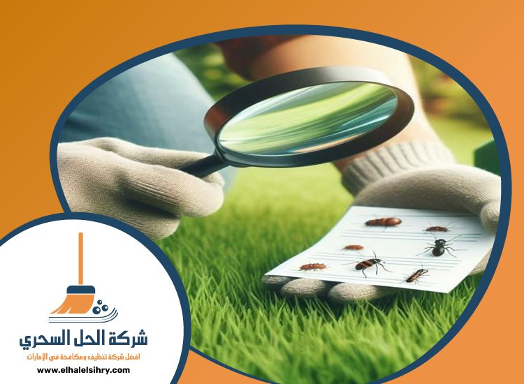 شركة مكافحة حشرات في الكرامة 5 شركة مكافحة حشرات في الكرامة