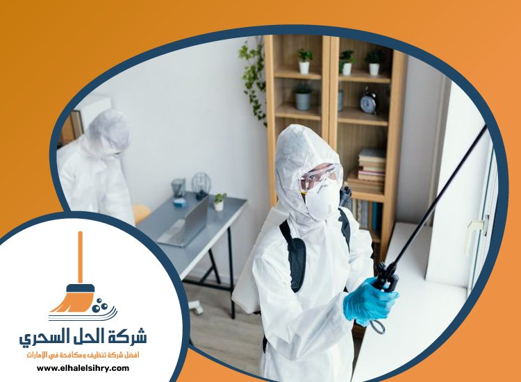 شركة مكافحة حشرات في السطوة 3 شركة مكافحة حشرات في السطوة