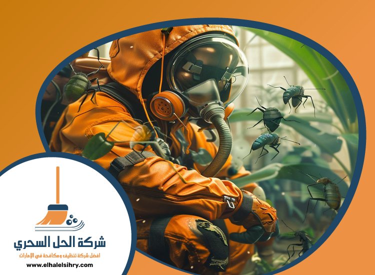 شركة مكافحة حشرات في السطوة 4 شركة مكافحة حشرات في السطوة