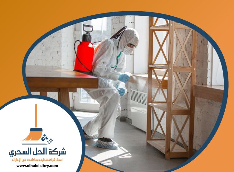 شركة مكافحة حشرات في السطوة 6 شركة مكافحة حشرات في السطوة