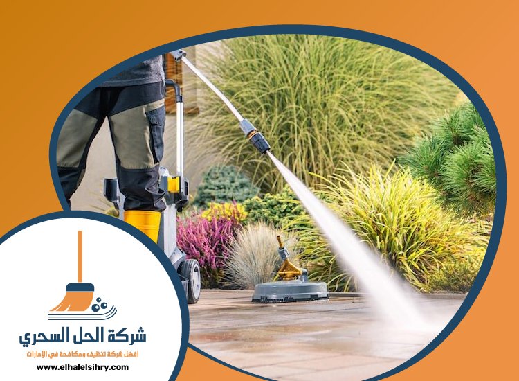 شركة تنظيف احواش في الشارقة 2 p1