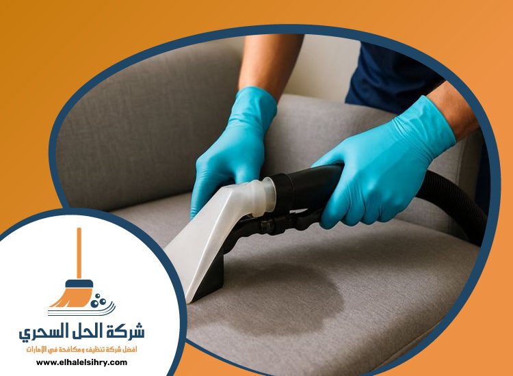 شركة تنظيف مفروشات في دبي 5 شركة تنظيف مفروشات في دبي