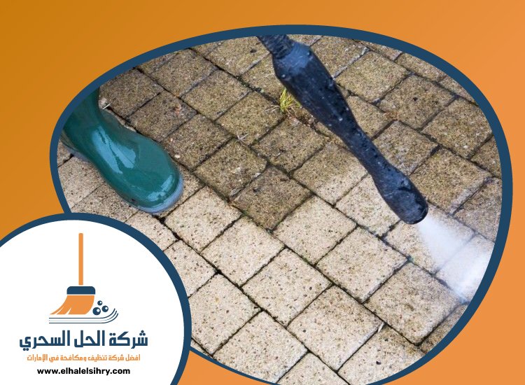 شركة تنظيف احواش في دبي 3 شركة تنظيف احواش في دبي