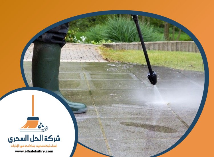 شركة تنظيف احواش في دبي 2 شركة تنظيف احواش في دبي