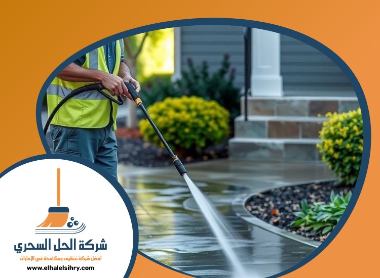 شركة تنظيف احواش في عجمان 3 شركة تنظيف احواش في عجمان