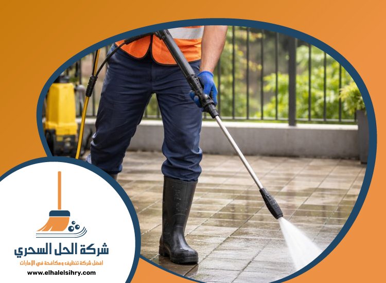 شركة تنظيف احواش في عجمان 5 شركة تنظيف احواش في عجمان