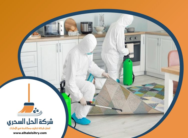 شركة تعقيم في عجمان 5 شركة تعقيم في عجمان