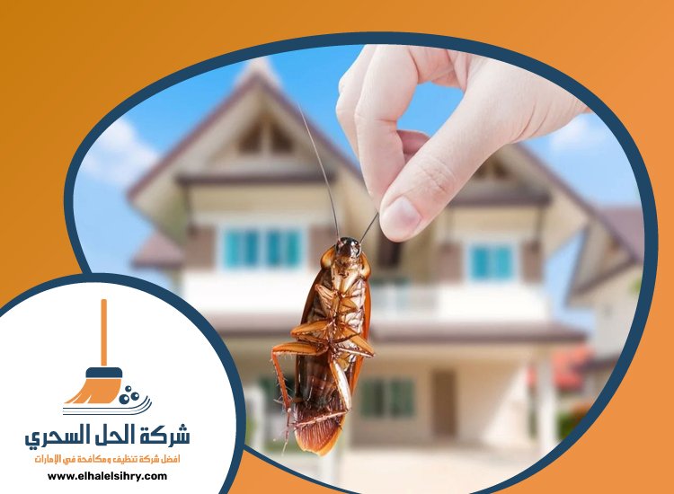 شركة مكافحة الصراصير