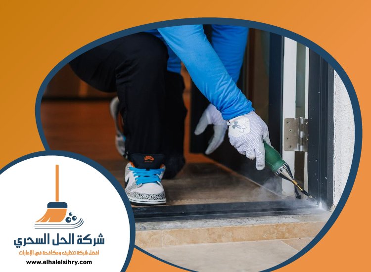 شركة مكافحة حشرات في القوز 3 شركة مكافحة حشرات في القوز