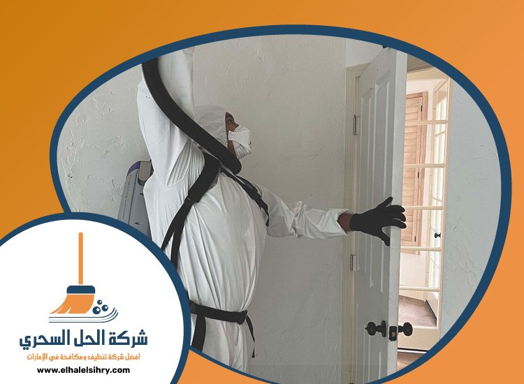 شركة مكافحة حشرات في القوز 4 شركة مكافحة حشرات في القوز