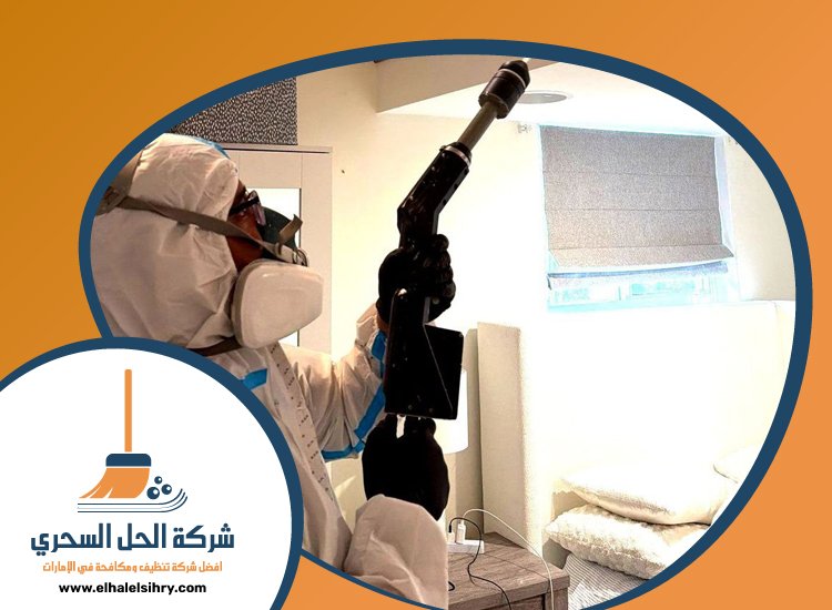 شركة مكافحة حشرات في القوز 5 شركة مكافحة حشرات في القوز