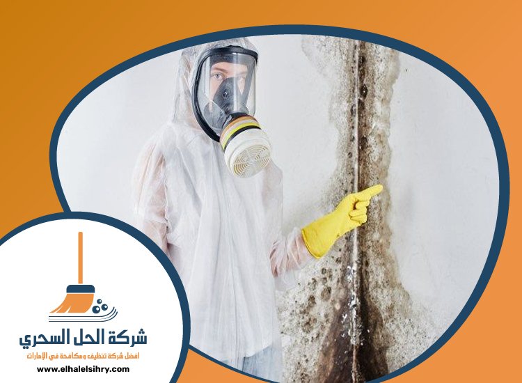 شركة تنظيف حوائط في عجمان 5 شركة تنظيف حوائط في عجمان