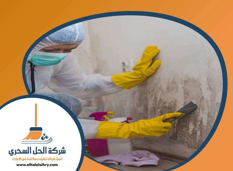 شركة تنظيف حوائط في راس الخيمة 5 شركة تنظيف حوائط في راس الخيمة