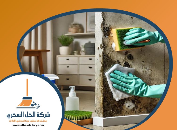 شركة تنظيف حوائط