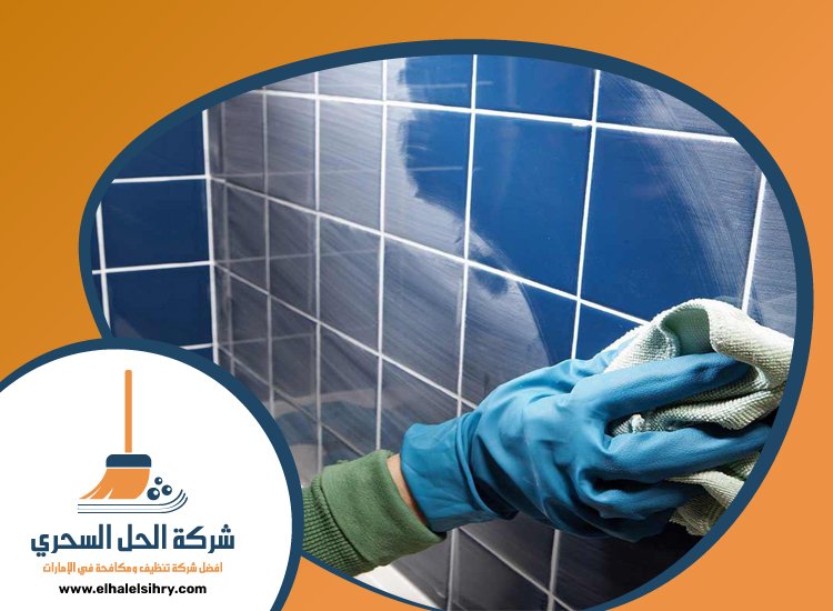 شركة تنظيف حوائط في دبي 5 شركة تنظيف حوائط في دبي