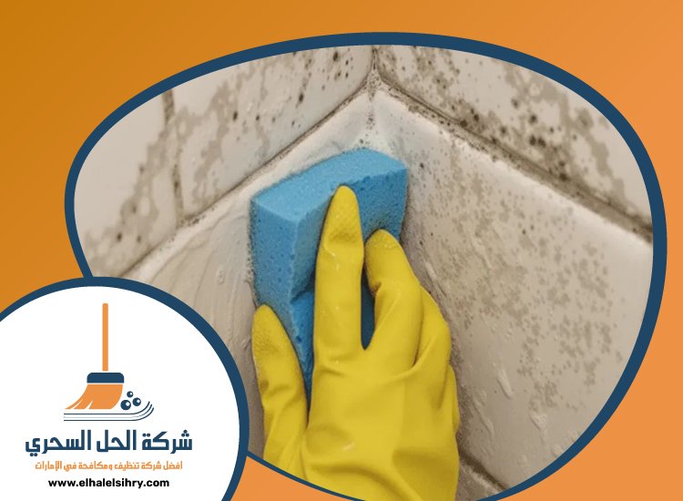 شركة تنظيف حوائط