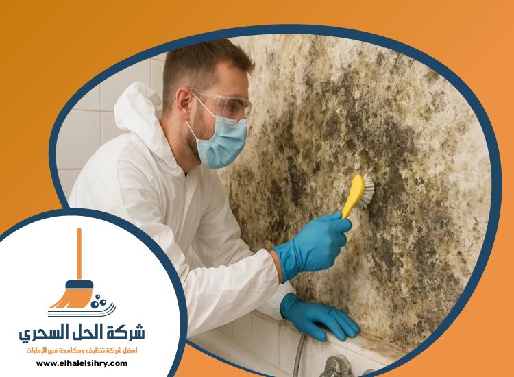 شركة تنظيف حوائط في الفجيرة 5 شركة تنظيف حوائط في الفجيرة