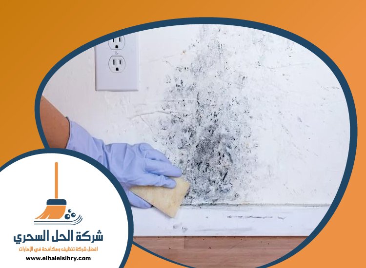 شركة تنظيف حوائط في راس الخيمة 4 شركة تنظيف حوائط في راس الخيمة