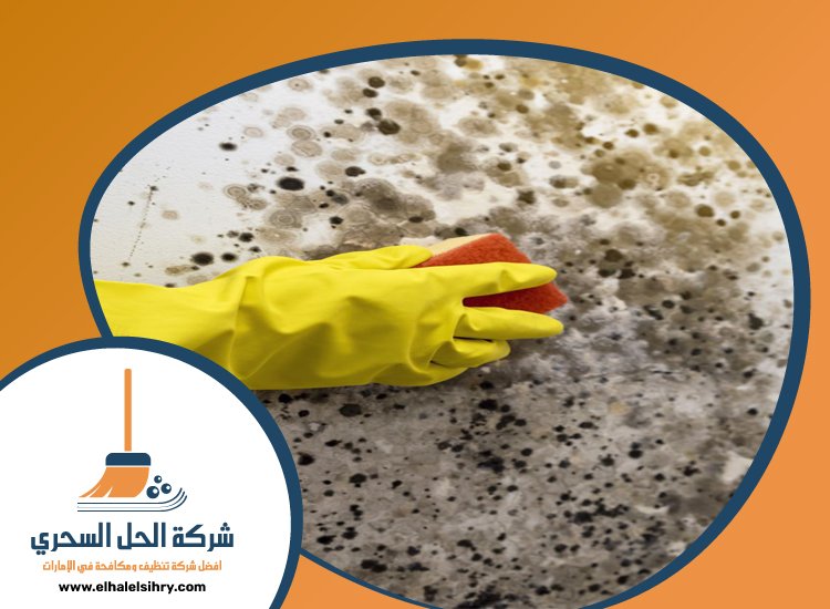 شركة تنظيف حوائط